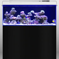 Collection image for: Aquariums
