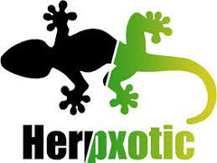 Collection image for: Herpxotic