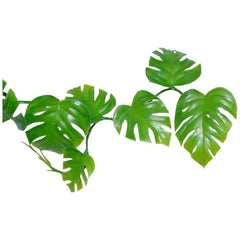 Collection image for: Vines