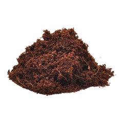 Collection image for: Coir & Husk