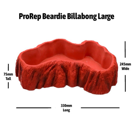 ProRep Beardie Billabong Pool Large 330x245x75mm