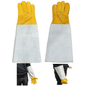 Protective Glove XL