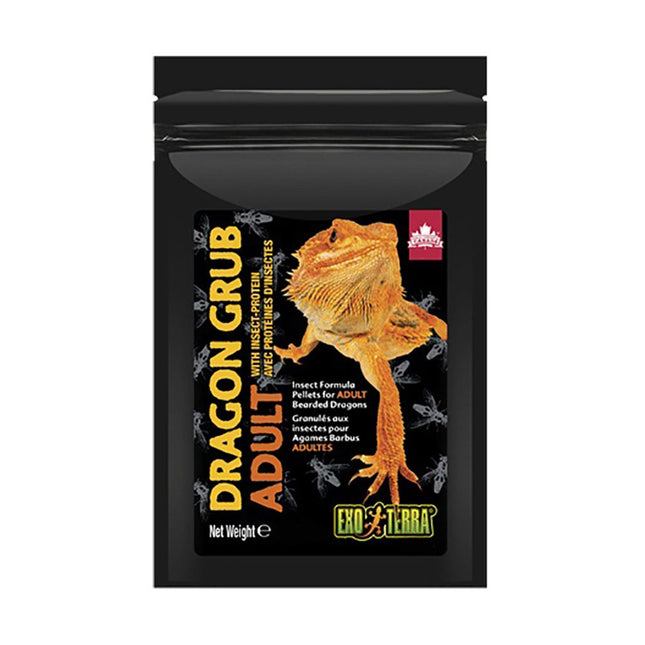 Exo Terra Dragon Adult Bearded Dragon 125g