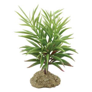 Mad Lizard 14cm Cactus