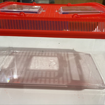 P2W Budget Plastic Terrarium