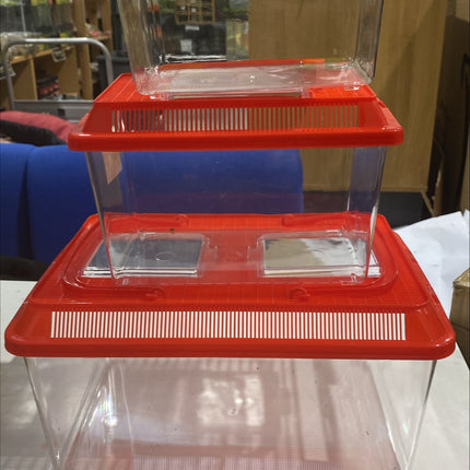 P2W Budget Plastic Terrarium