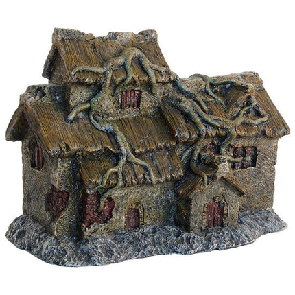 Aquaspectra House with Roots
