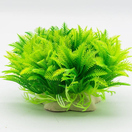 AquaSpectra Myriophyllum, 14cm