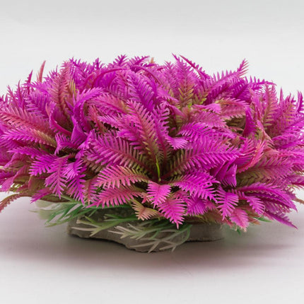 AquaSpectra Myriophyllum, 14cm