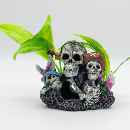 AquaSpectra Pirate Skull, Group