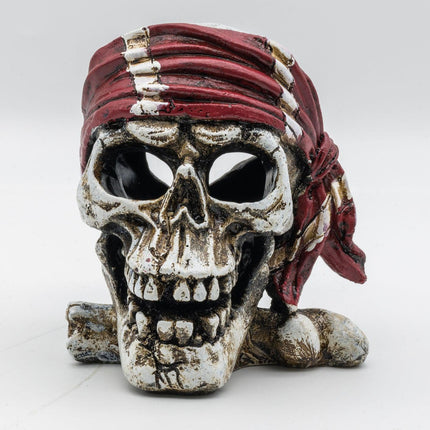 AquaSpectra Pirate Skull, Red Bandana