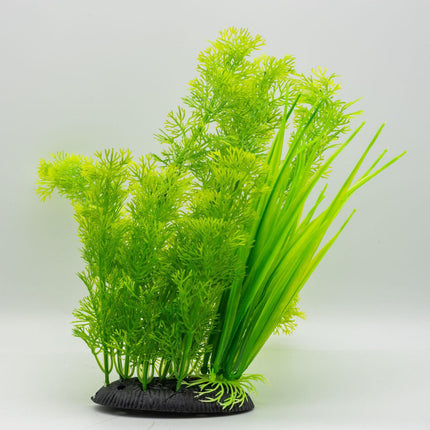 AquaSpectra Kabomba Plant Green, 30cm