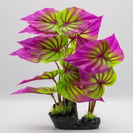 AquaSpectra Phylodendron Plant, 40cm