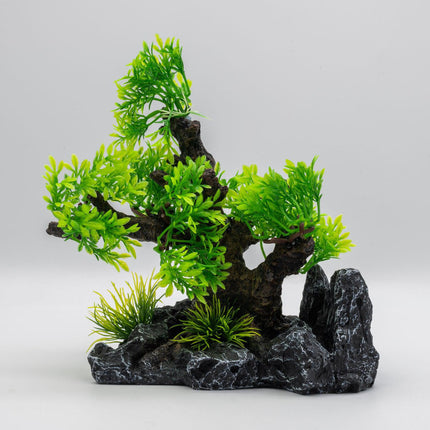 AquaSpectra Bonsai Tree