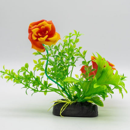 AquaSpectra Rose
