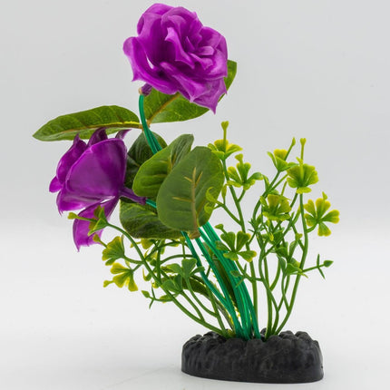 AquaSpectra Rose