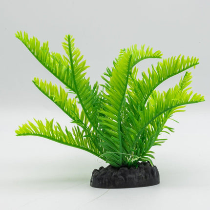 AquaSpectra Fern Green, 15cm