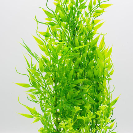 AquaSpectra Limnophila Plant, 30cm