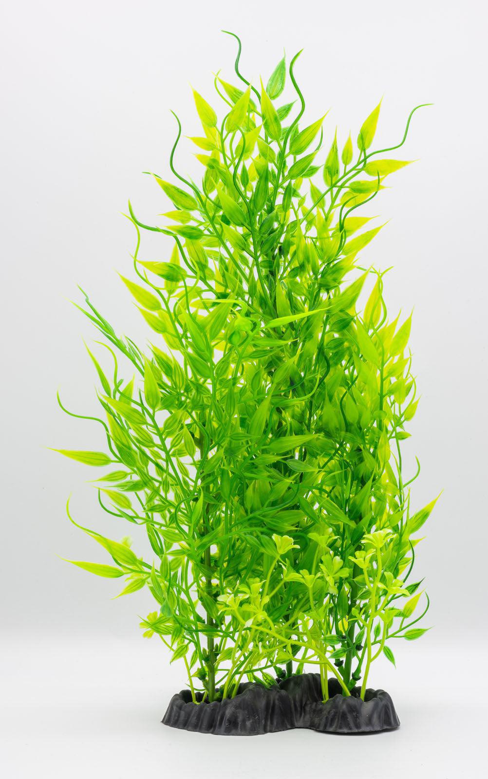 AquaSpectra Limnophila Plant, 30cm