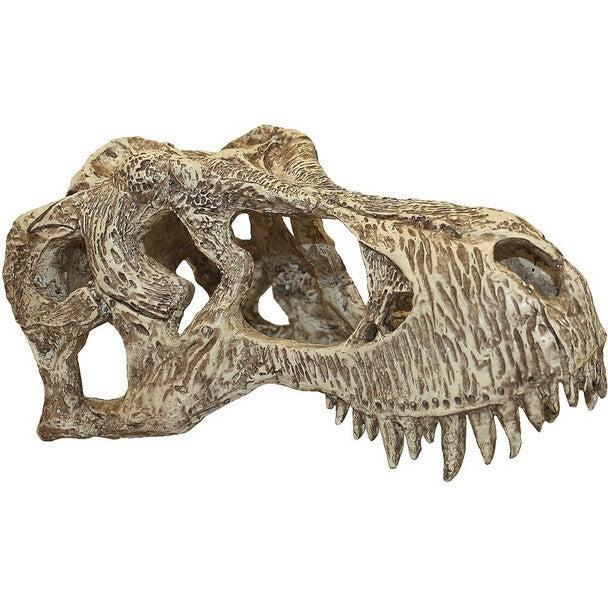 Komodo Resin T-Rex Skull