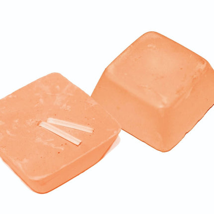 Critter's Choice Mineral Stone