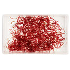 Bloodworm LARGE