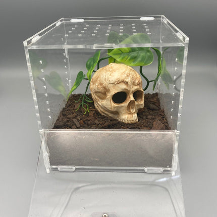 Acrylic Spider NFM Enclosure