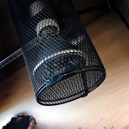 Arcadia Deep Heat Projector
