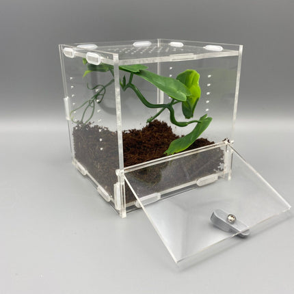 Acrylic Spider NFM Enclosure