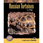 Russian Tortoises in Captivity