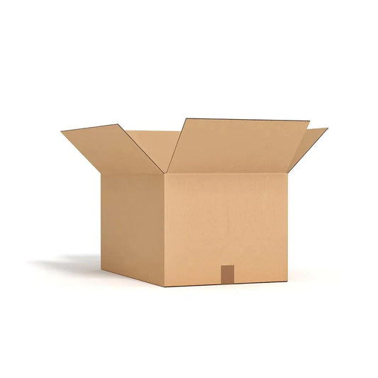 Stick Insect Starter Kit