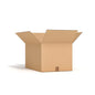 Stick Insect Starter Kit