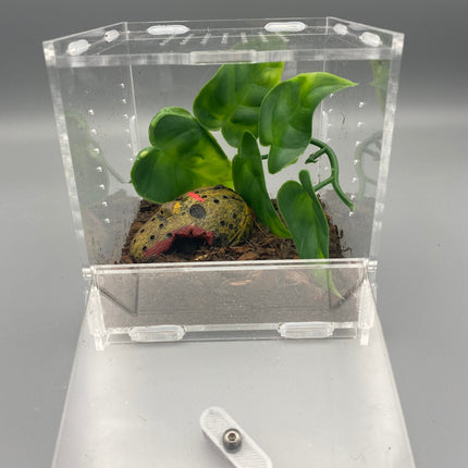 Acrylic Spider NFM Enclosure
