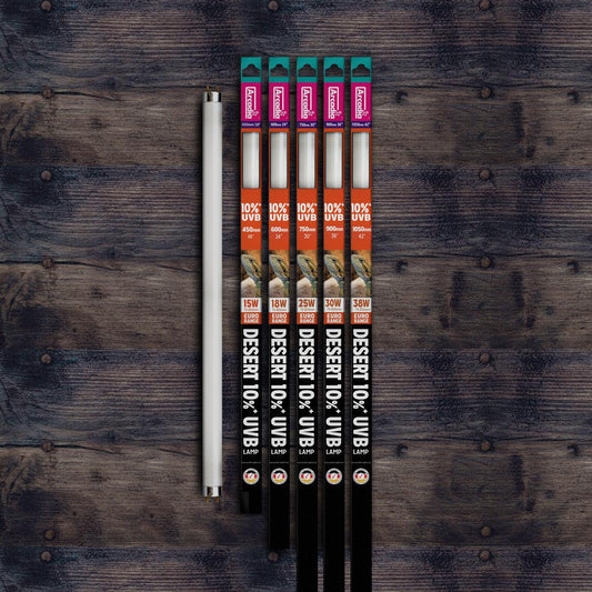Arcadia Euro-Range Desert 10% T8 UV Tube