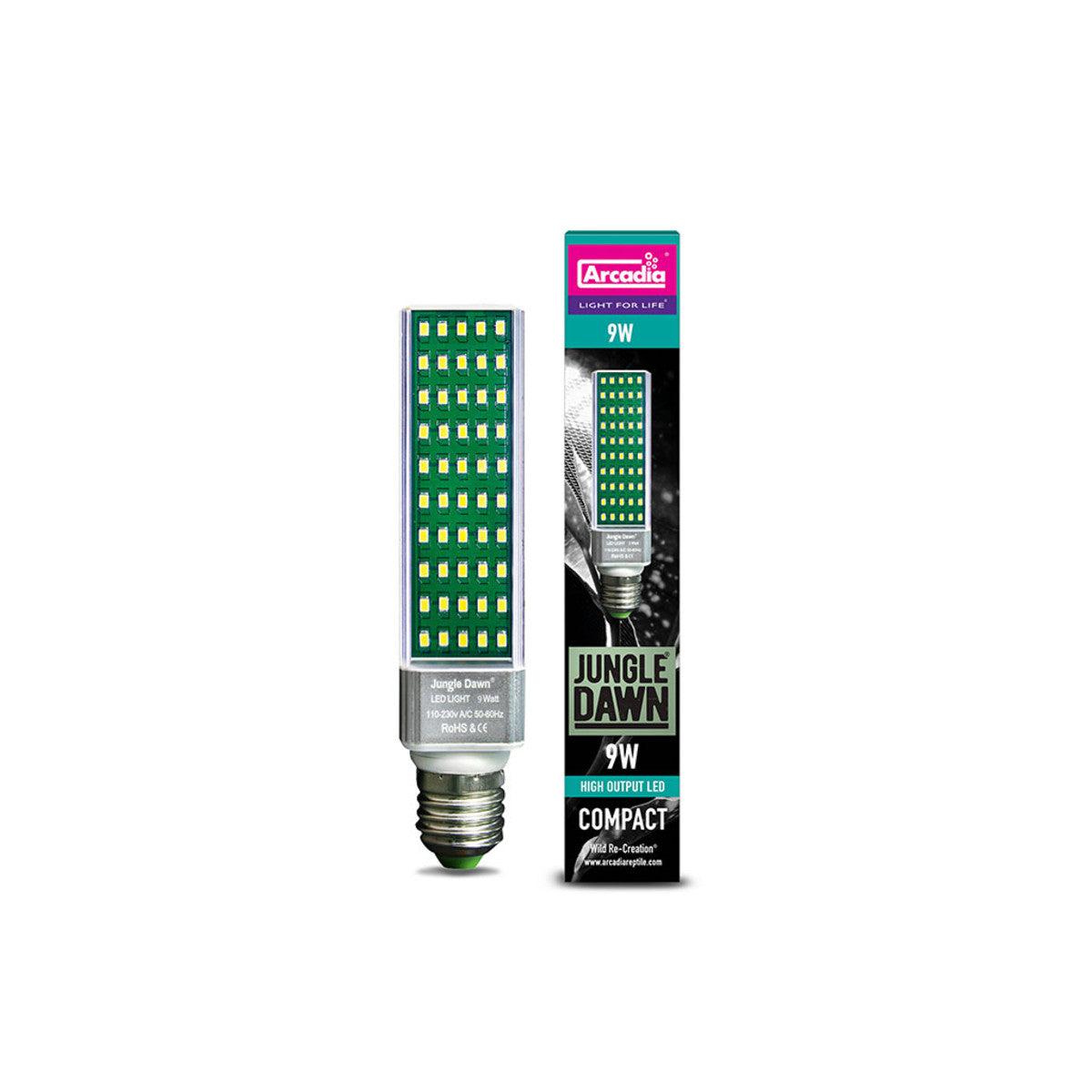 Arcadia Jungle Dawn LED Lamp