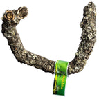 30-40cm