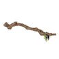 ProRep Cork Oak Branch