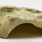 Medium