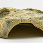 Large