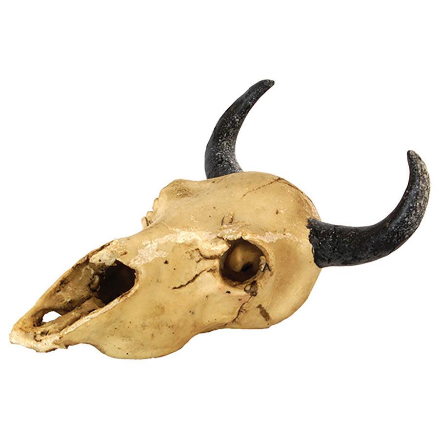 Repstyle Skull