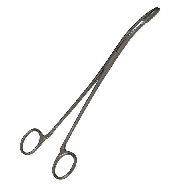 Lucky Reptile Feeding Tongs Angular