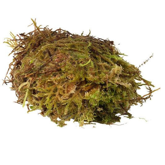 HabiStat Sphagnum Moss