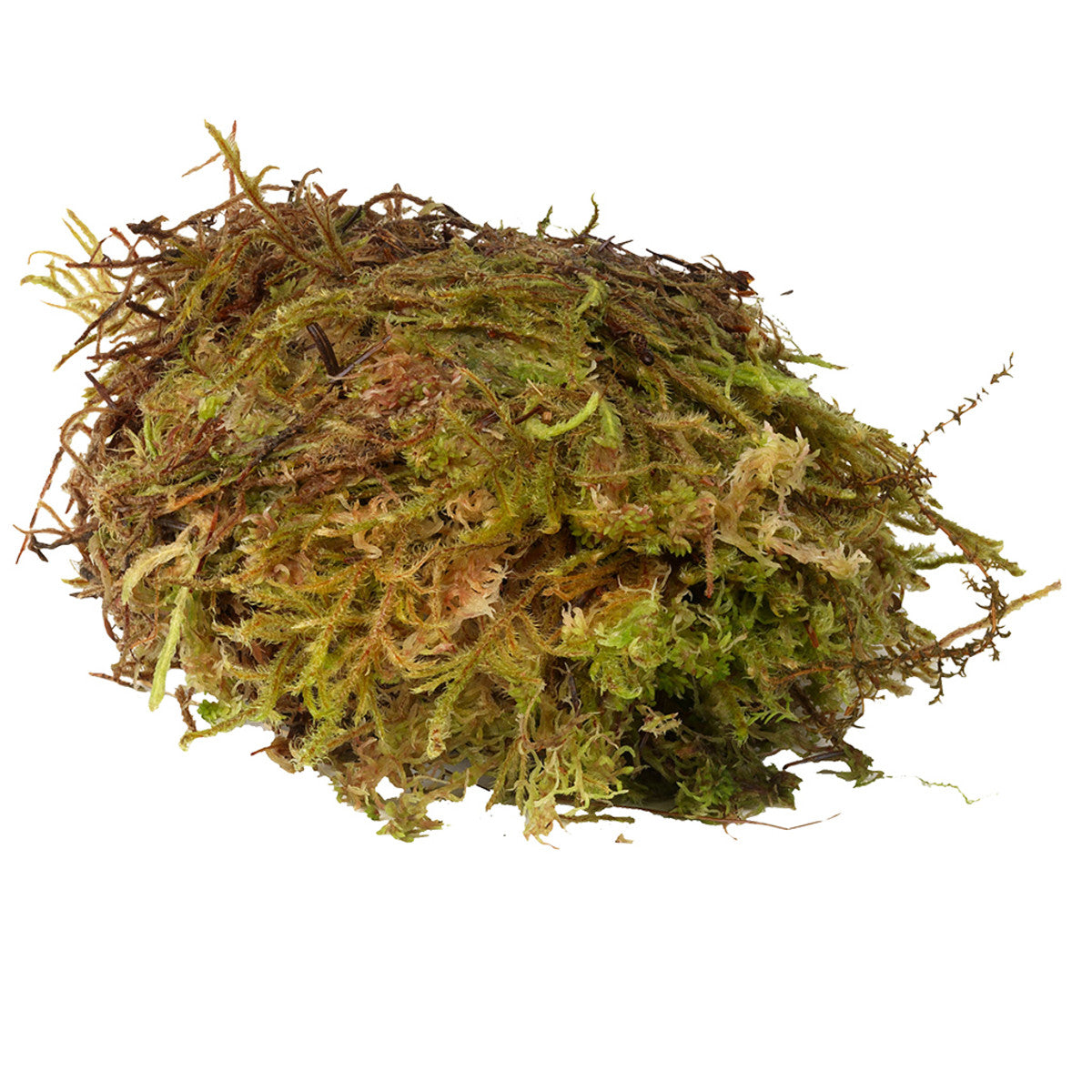 Premium Sphagnum Moss