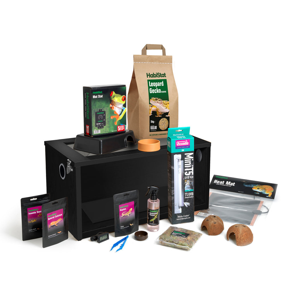 HabiStat Leopard Gecko Starter Kit - Juvenile (61x38x30cm)