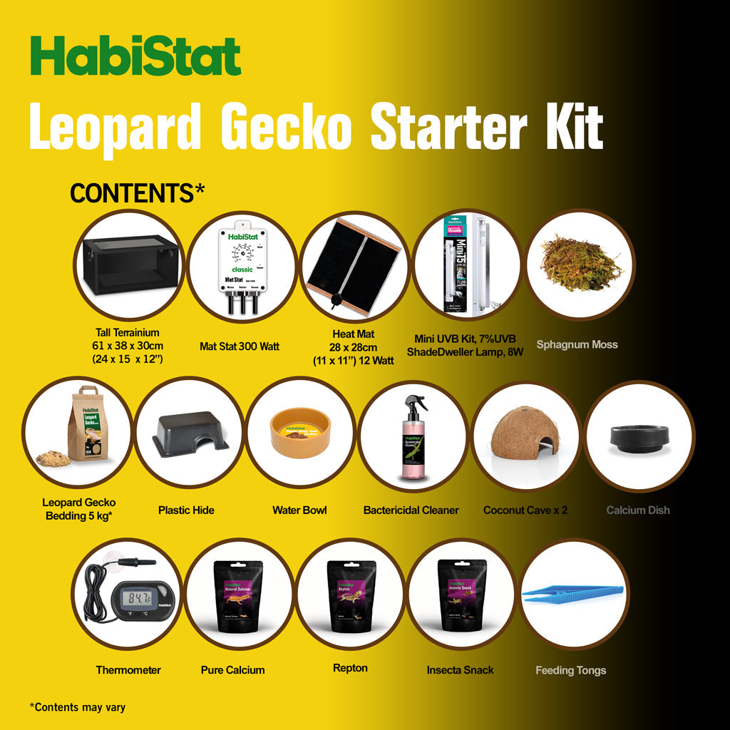 HabiStat Leopard Gecko Starter Kit - Juvenile (61x38x30cm)