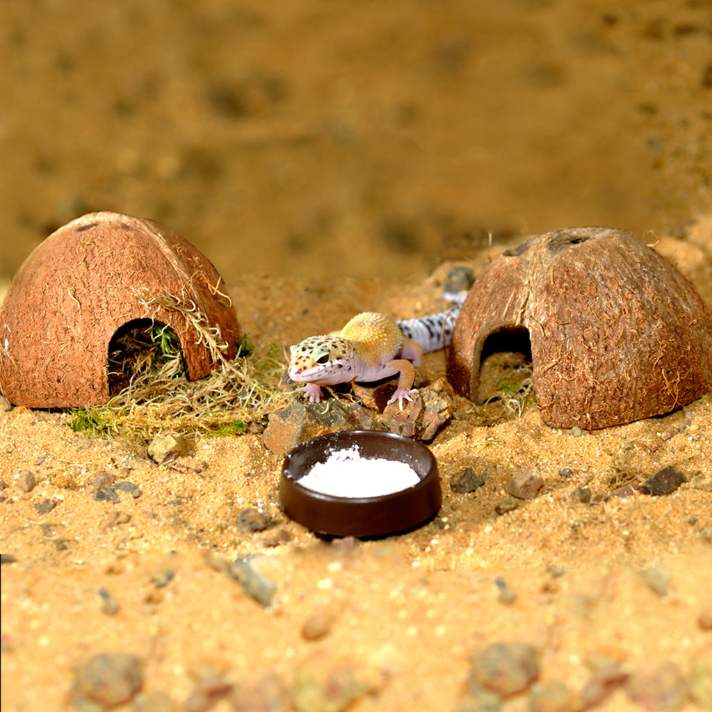 HabiStat Leopard Gecko Starter Kit - Juvenile (61x38x30cm)