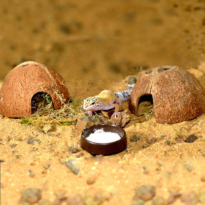 HabiStat Leopard Gecko Starter Kit - Juvenile (61x38x30cm)