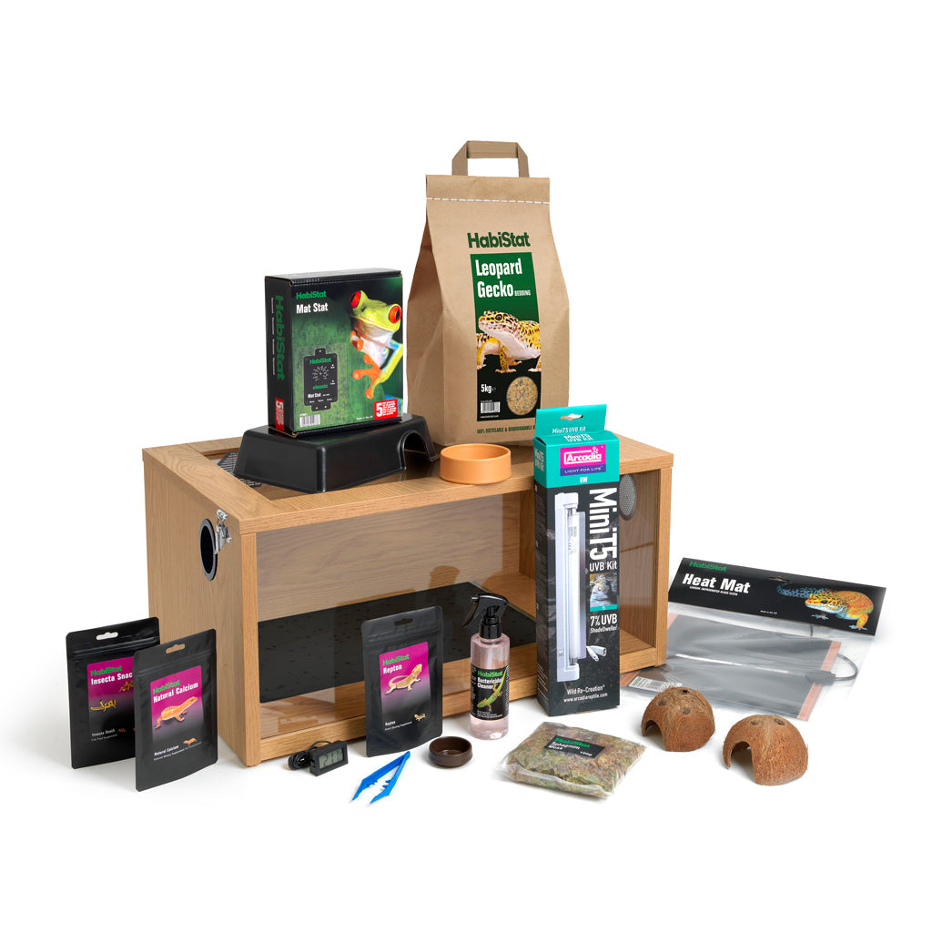 HabiStat Leopard Gecko Starter Kit - Juvenile (61x38x30cm)