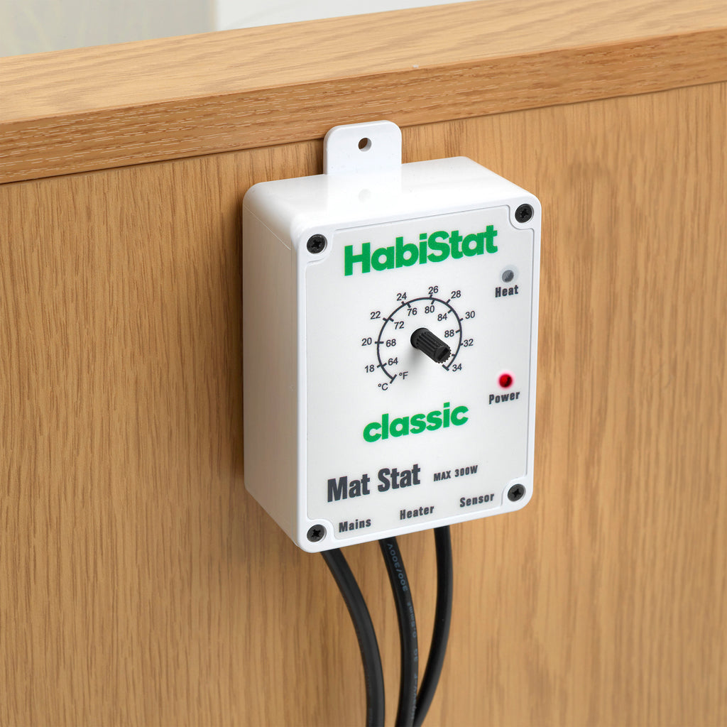 HabiStat Leopard Gecko Starter Kit - Juvenile (61x38x30cm)