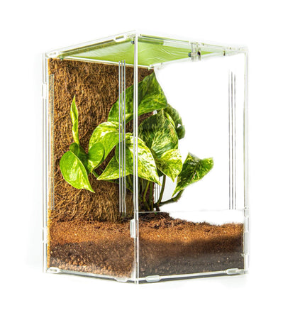 Acrylic Mantis Enclosure